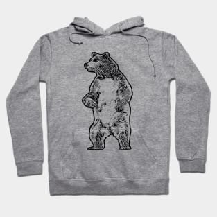 Grizzly Hoodie